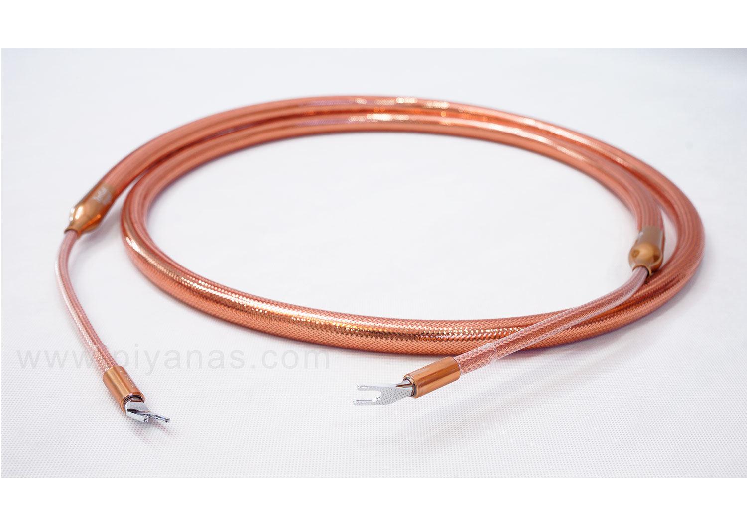 Angel Speaker Cable (2.5M)