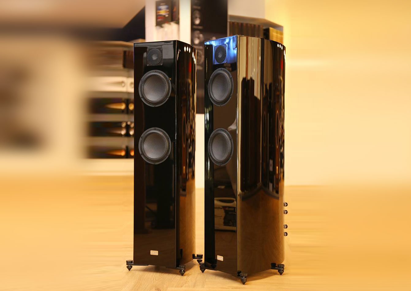 Vescova Ceramic tweeter
Black Edition (Black)