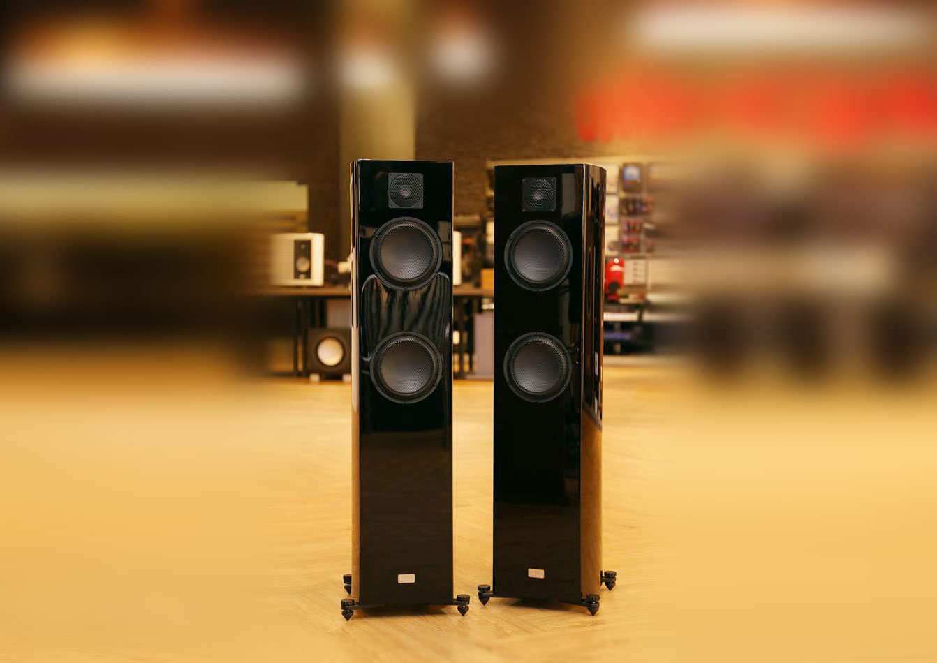 Vescova Ceramic tweeter
Black Edition (Black)