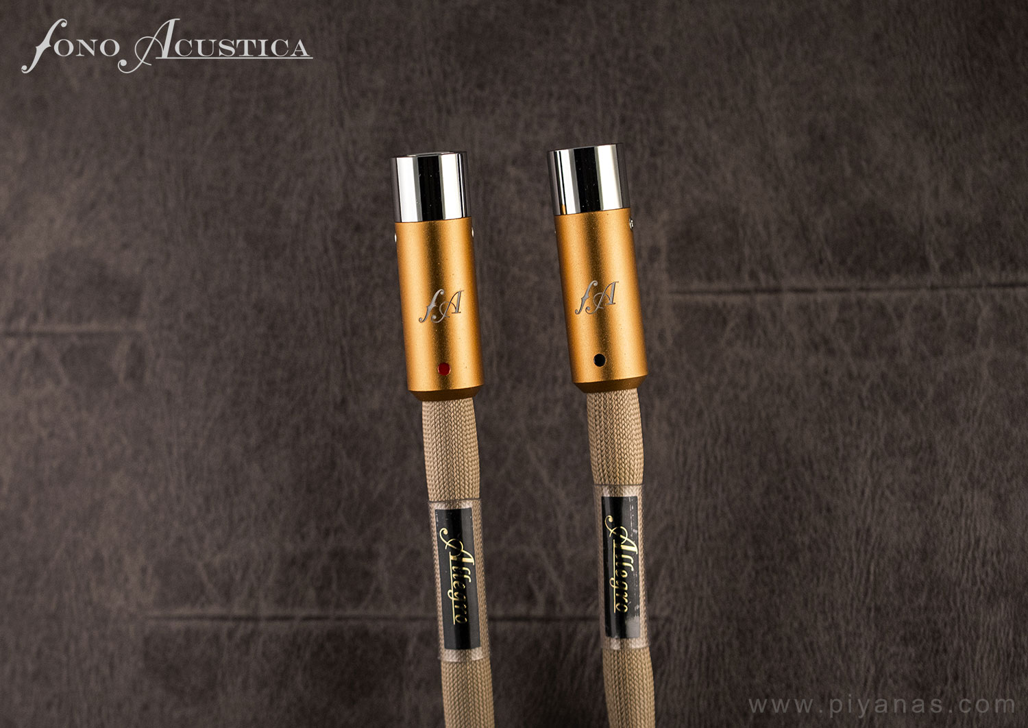 Allegro XLR (1.0M)