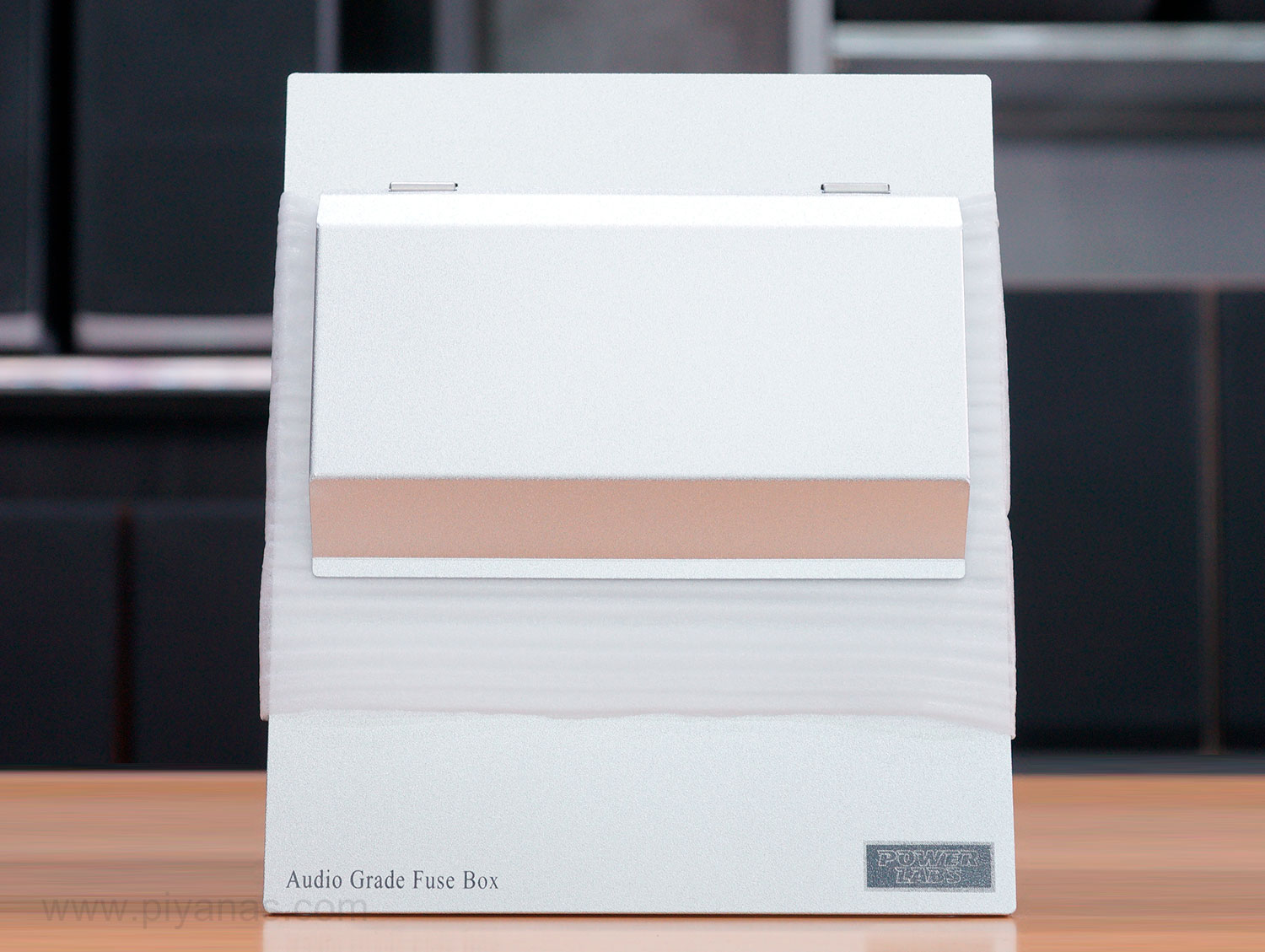 ตู้ Power Labs พร้อมบัสบาร์ Rhodium 
ชนิด 2 way (1 แม่ 2 ย่อย)