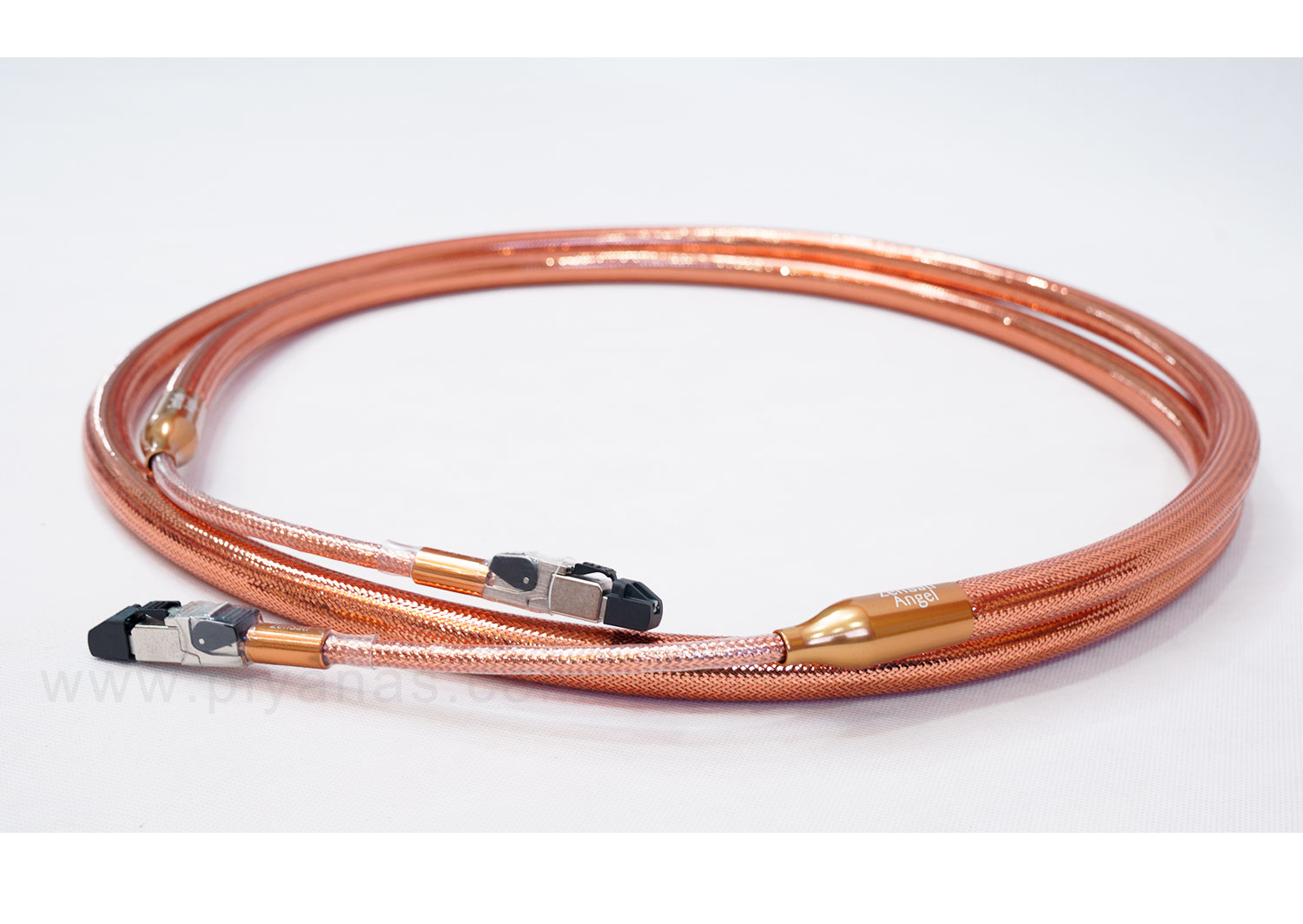 Angel RJ/Ethernet (3M)
