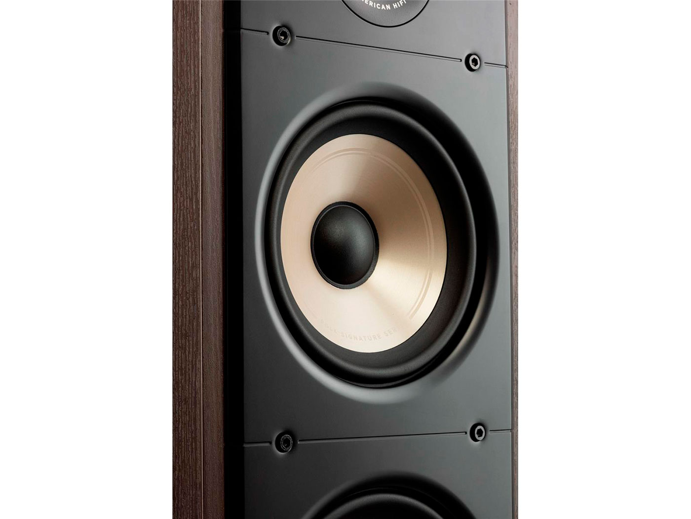 Signature Elite Es-50
(Brown Walnut)