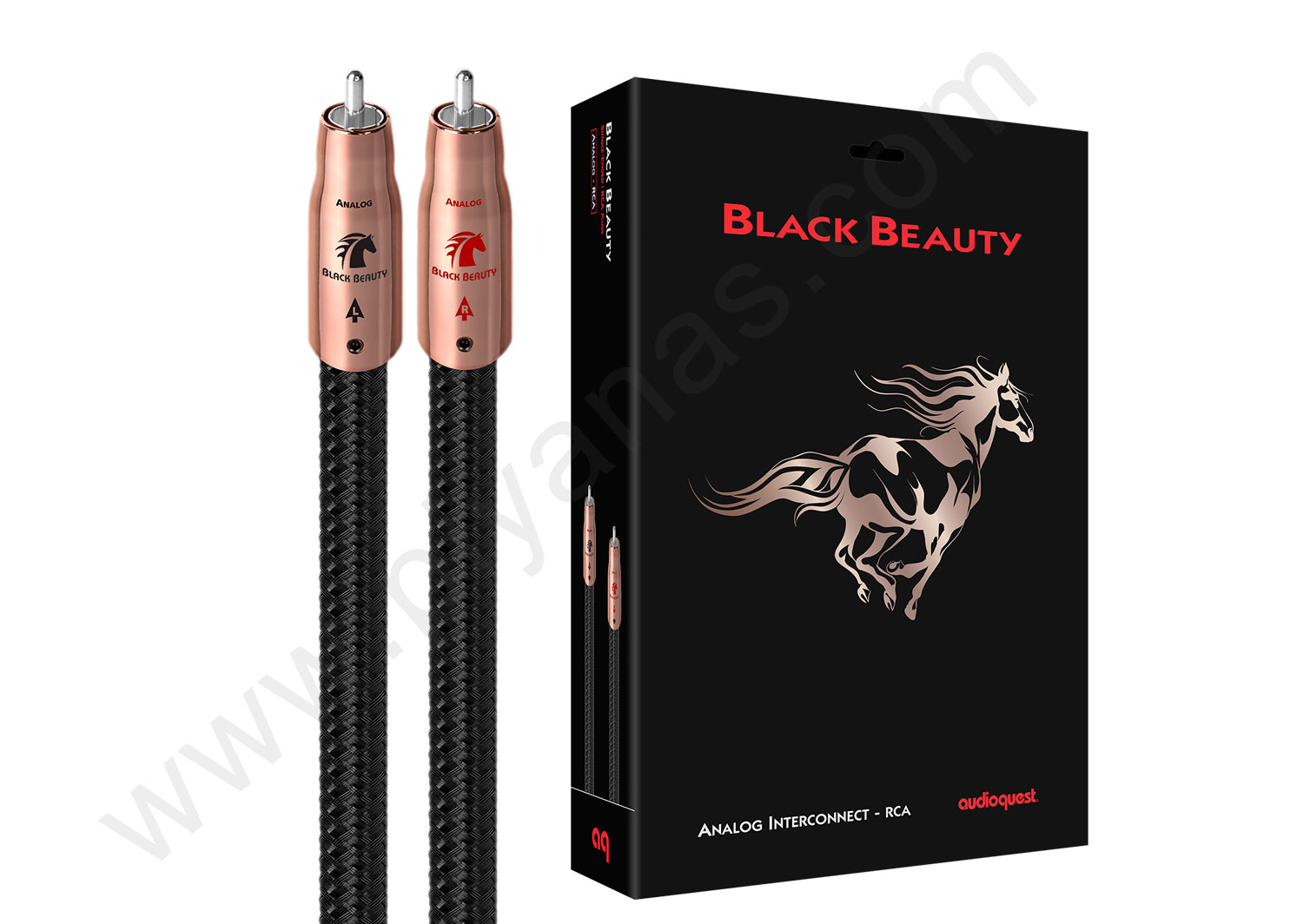 Black Beauty RCA (2.0M)