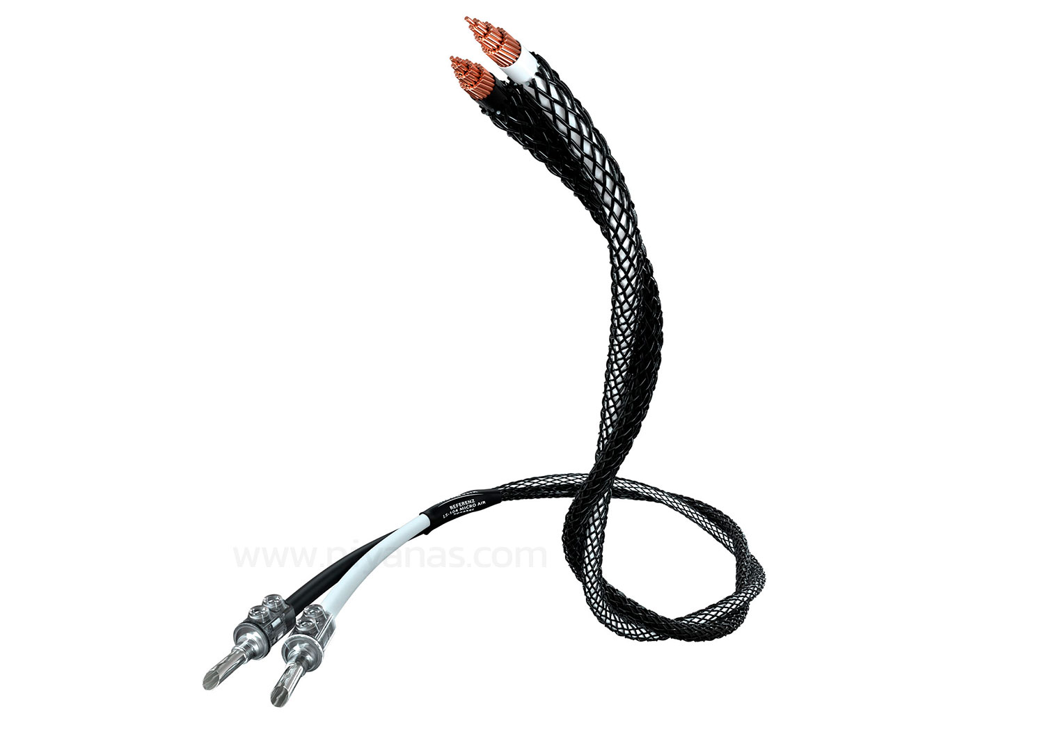 603 S3 (Oak) + EVO75