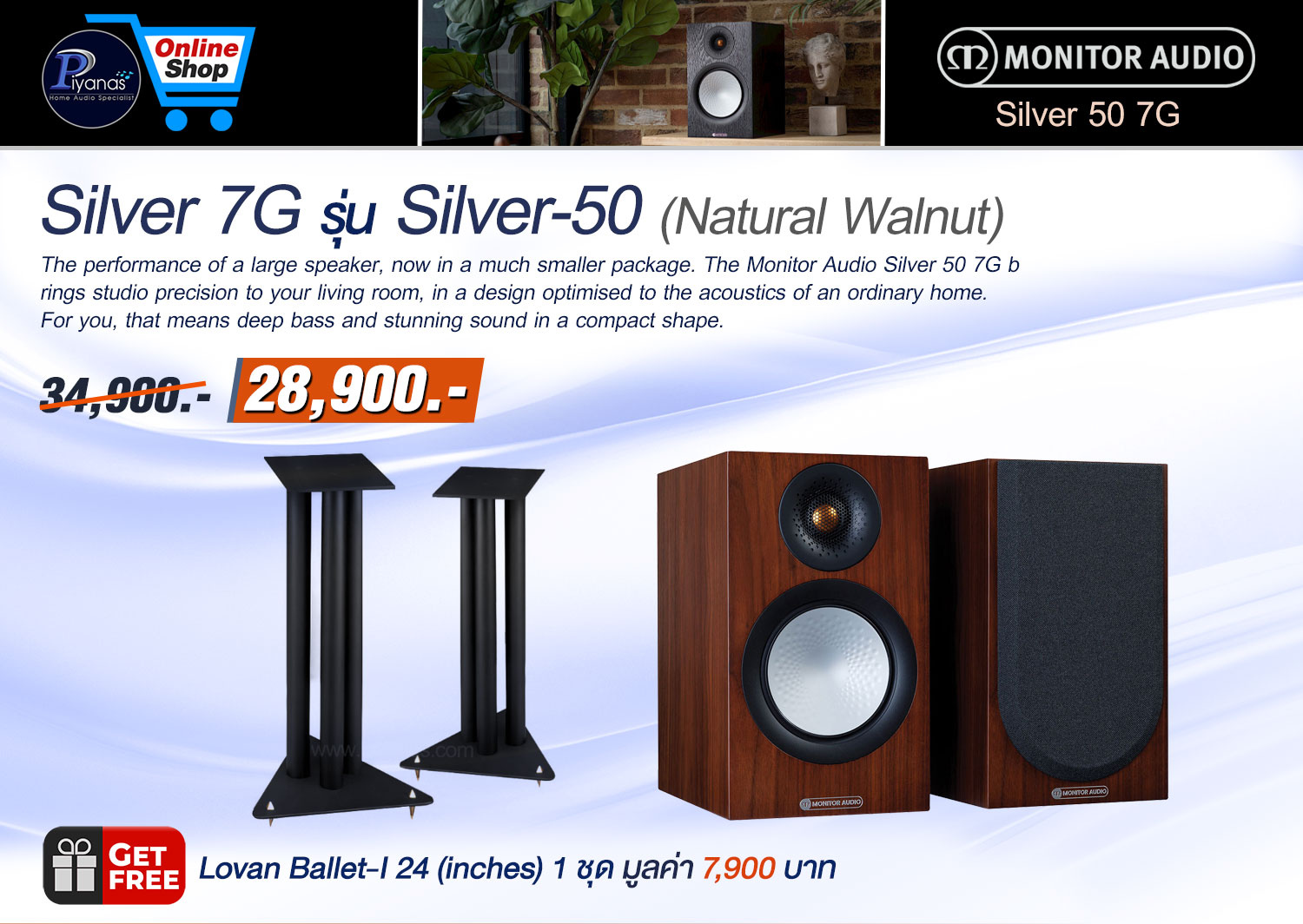 Silver 7G รุ่น Silver-50 (Natural Walnut)