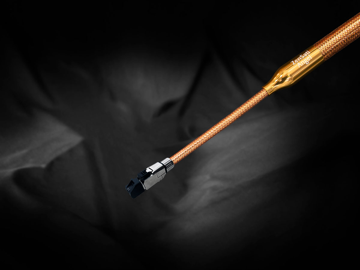 Angel RJ/Ethernet (1M)
