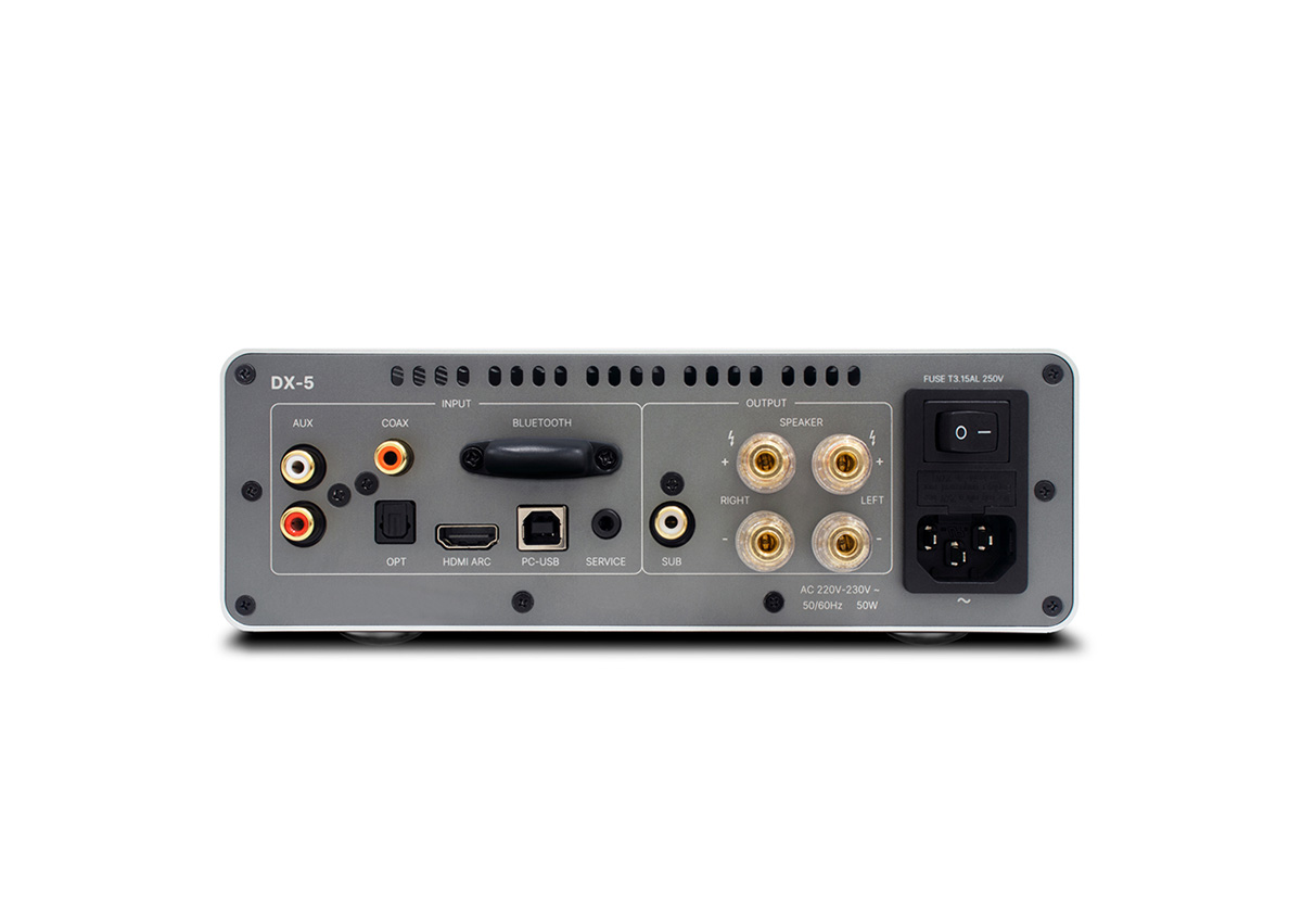 DX-5 Integrated Amp (Silver)