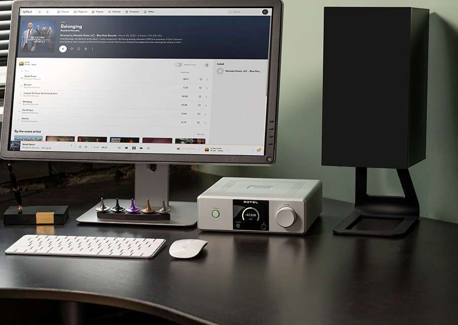 DX-5 Integrated Amp (Silver)