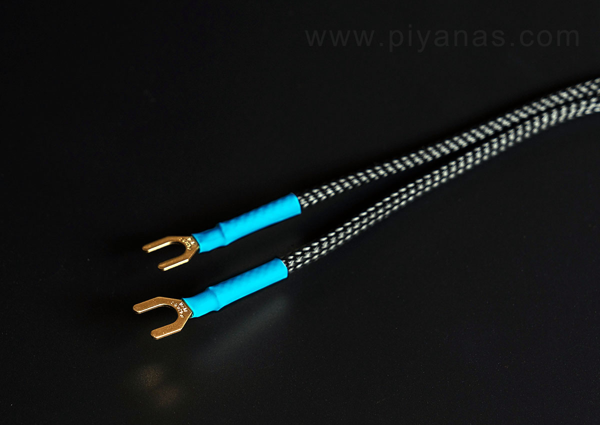 Clone2Y6