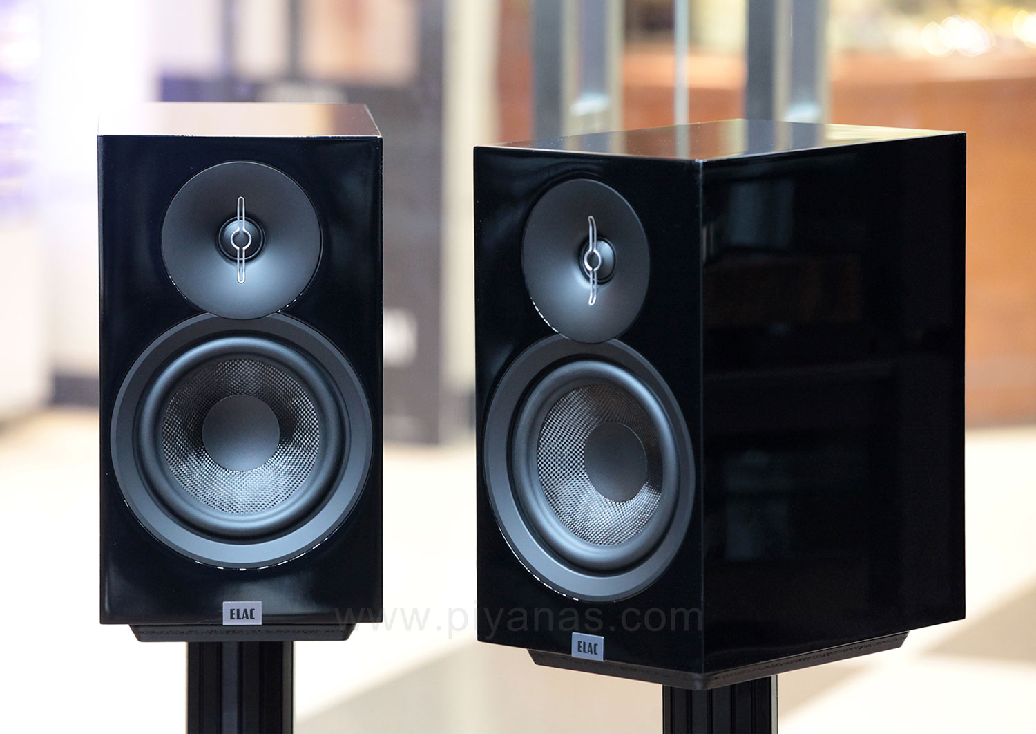 DEBUT 3.0 รุ่น B-6.3 (100 Years Anniversary) (Highgloss Black)