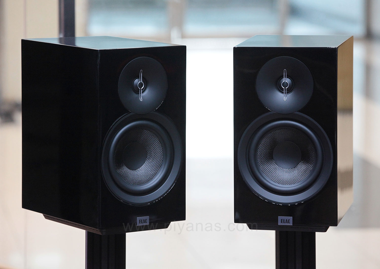 DEBUT 3.0 รุ่น B-6.3 (100 Years Anniversary) (Highgloss Black)